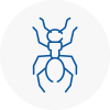 Ant Removals In Evesham
