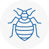 Bed Bug Extermination In Evesham
