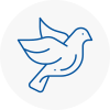 Bird Prevention Evesham