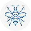 Evesham Hornet Nest Removals