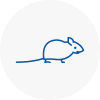 Mice Exterminators In Evesham
