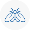 Moth Control Specialists In Evesham