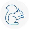 Evesham Rodent Removals